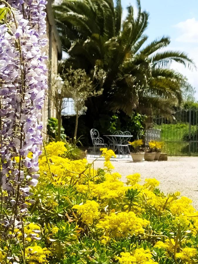 Gite La Bourgetterie Fontenay Sur Mer Exteriér fotografie